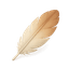 Daily Blog Post logo
